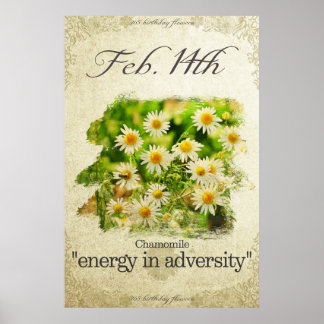 Affiche Fleurs d'anniversaire le 14 février "Chamomile"
