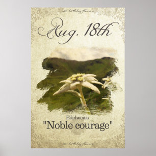 Affiche Fleurs d'anniversaire le 18 août "Edelweiss"