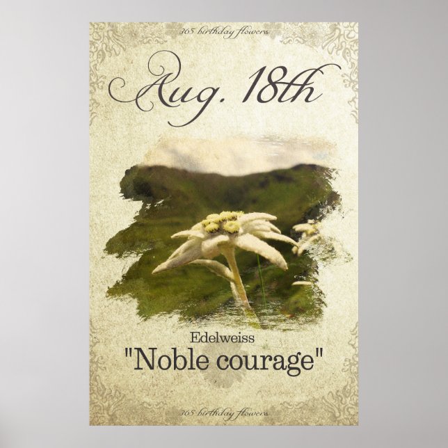 Affiche Fleurs d'anniversaire le 18 août "Edelweiss" (Devant)