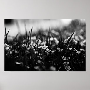 Affiche Fleurs dans le champ au printemps