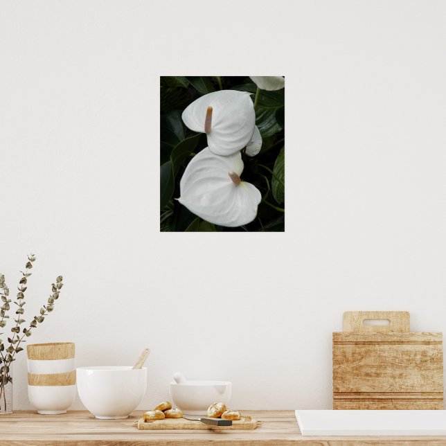Affiche Fleurs d'Anthurium blanc photographique (Cuisine)