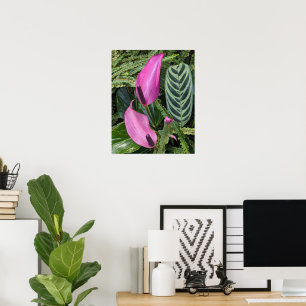 Affiche Fleurs d'anthurium rose et feuillage touffu