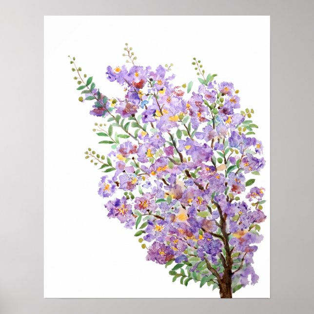 Affiche fleurs d'aquarelle de myrte violette (Devant)