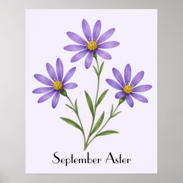 Affiche Fleurs d'Aster de Septembre (Devant)