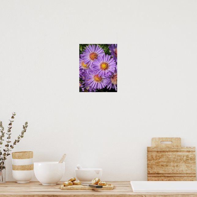 Affiche Fleurs d'aster violettes Floral (Cuisine)