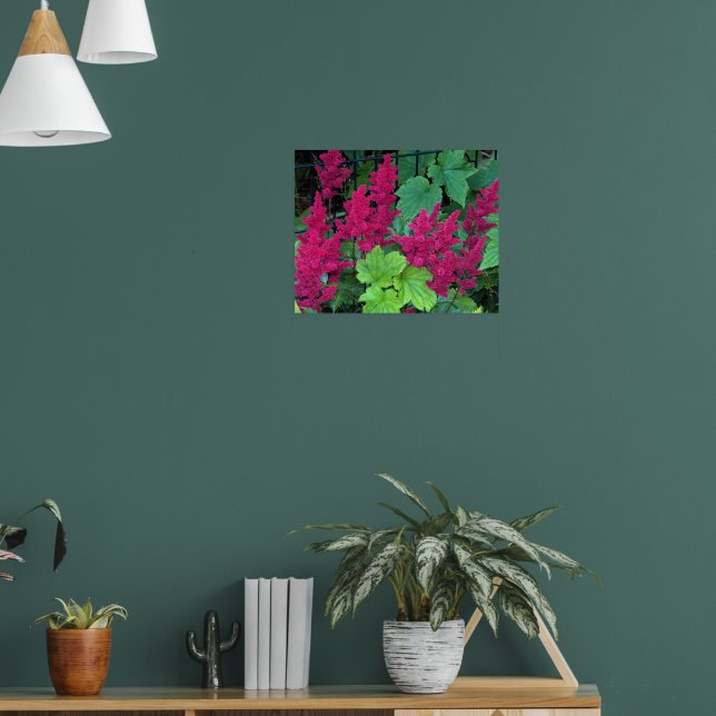Affiche Fleurs d'Astilbe Rose Profond (Salon 1)