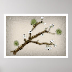 Affiche Fleurs de cerisier