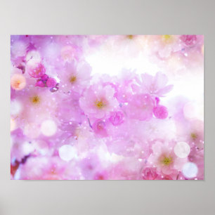 Affiche Fleurs de cerisier rose en photo