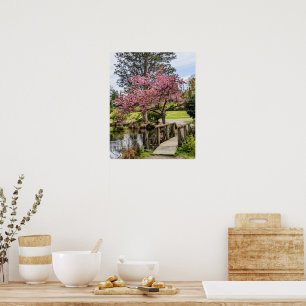 Affiche Fleurs de cerisier roses et passerelle en bois