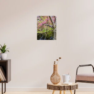 Affiche Fleurs de cerisier roses le long de l'étang