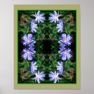 Affiche Fleurs de chicorée bleu sauvage miroir Abstrait