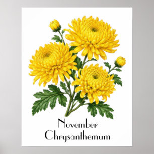 Affiche Fleurs de chrysanthème de novembre