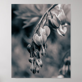 Affiche Fleurs de Cœur Saignant Noir et Blanc, F Romantiqu