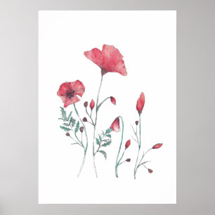Affiche Fleurs de coquelicot aquarelle