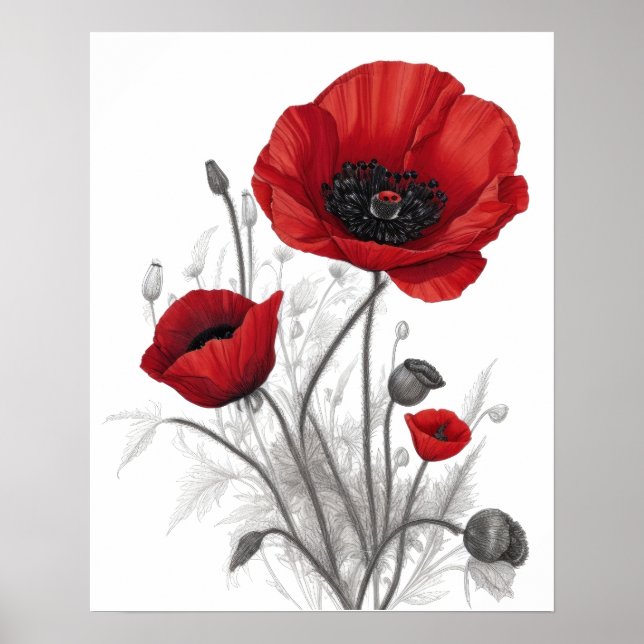 Affiche Fleurs de coquelicot rouges (Devant)