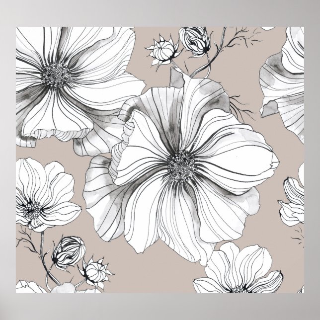 Affiche Fleurs de Cosmos : Motif de Dessin Botanique. (Devant)