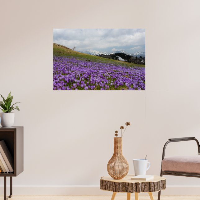 Affiche Fleurs de crocus à Velika Planina, Slovénie (Salon 3)