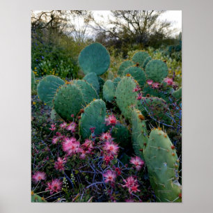Affiche Fleurs de duster rose et cactus de poires