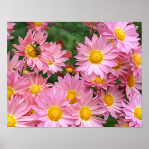 Affiche Fleurs De Faisée Rose Et Abeille De Bumble