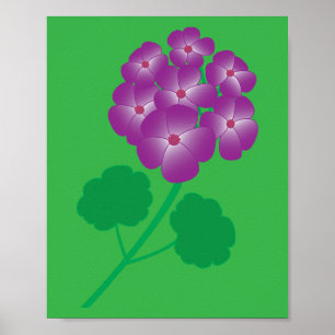 Affiche Fleurs de géranium