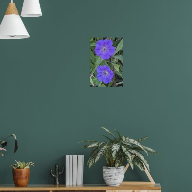 Affiche Fleurs de Géranium Cranesbill Violet Floral (Salon 1)