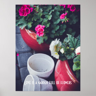 Affiche Fleurs de géranium de jardin roses et blanches