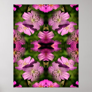 Affiche Fleurs de géranium Multipliées Abstraites