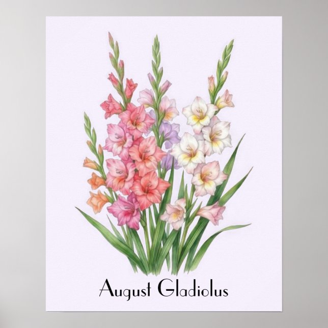 Affiche Fleurs de glaïeul d'août (Devant)
