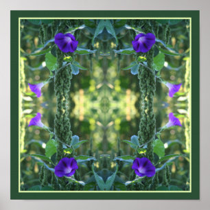 Affiche Fleurs de gloire violet sauvage du matin Abstrait