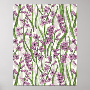 Affiche Fleurs de Hyacinth rose sur blanc naturel