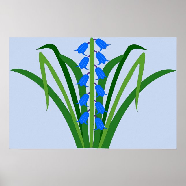 Affiche Fleurs de Jacinthe bleue Bébé Garçon Printemps (Devant)