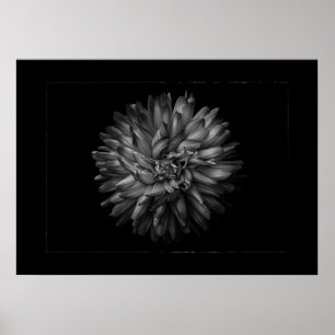 Affiche Fleurs de jardin à l'arrière-plan en noir et blanc