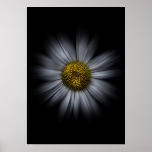 Affiche Fleurs de jardin arrière N° 13 Version Color Flow