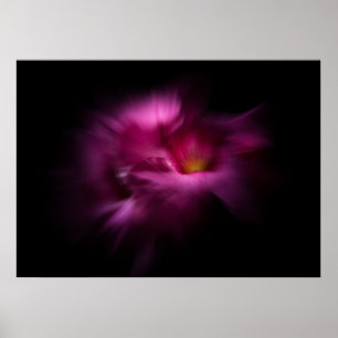 Affiche Fleurs de jardin arrière n°2 Version Color Flow