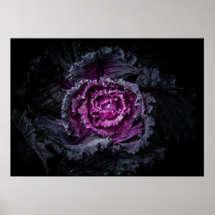 Affiche Fleurs de jardin arrière N° 92 Version couleur