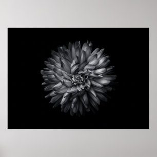 Affiche Fleurs de jardin en noir et blanc 20