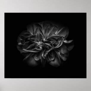 Affiche Fleurs de jardin en noir et blanc 67