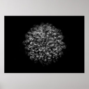 Affiche Fleurs de jardin en noir et blanc n° 46