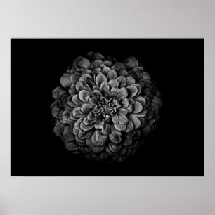 Affiche Fleurs De jardin En Noir Et Blanc No 54