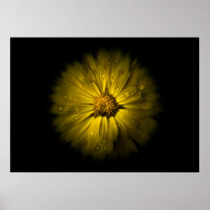 Affiche Fleurs de jardin No 10 Version Flow