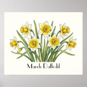 Affiche Fleurs de jonquilles de mars