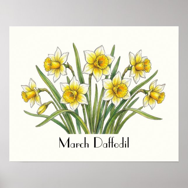 Affiche Fleurs de jonquilles de mars (Devant)