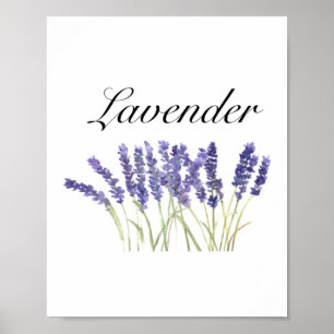 Affiche Fleurs de lavande aquarelle herbes violet chic