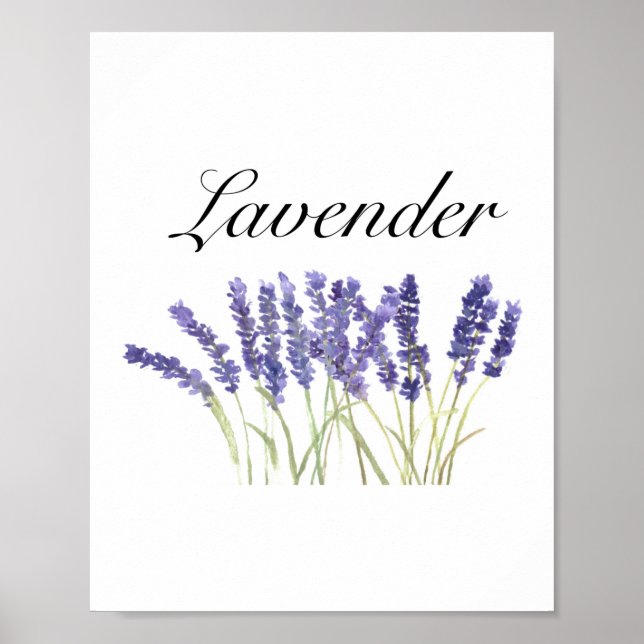 Affiche Fleurs de lavande aquarelle herbes violet chic (Devant)