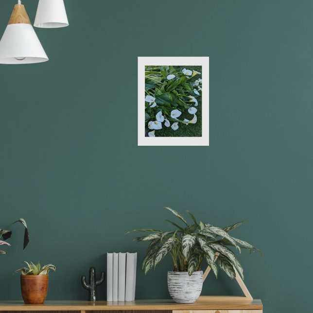Affiche Fleurs de lis calla blanc (Salon 1)