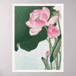 Affiche Fleurs de Lotus en fleurs Ohara Koson Art japonais