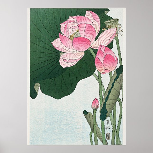 Affiche Fleurs de Lotus en fleurs par Ohara Koson (Devant)
