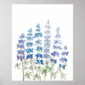 Affiche fleurs de lupin bleu et violet aquarelle