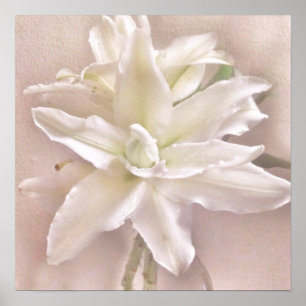 Affiche Fleurs de Lys Rougissent