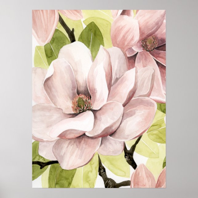 Affiche Fleurs de Magnolia (Devant)
